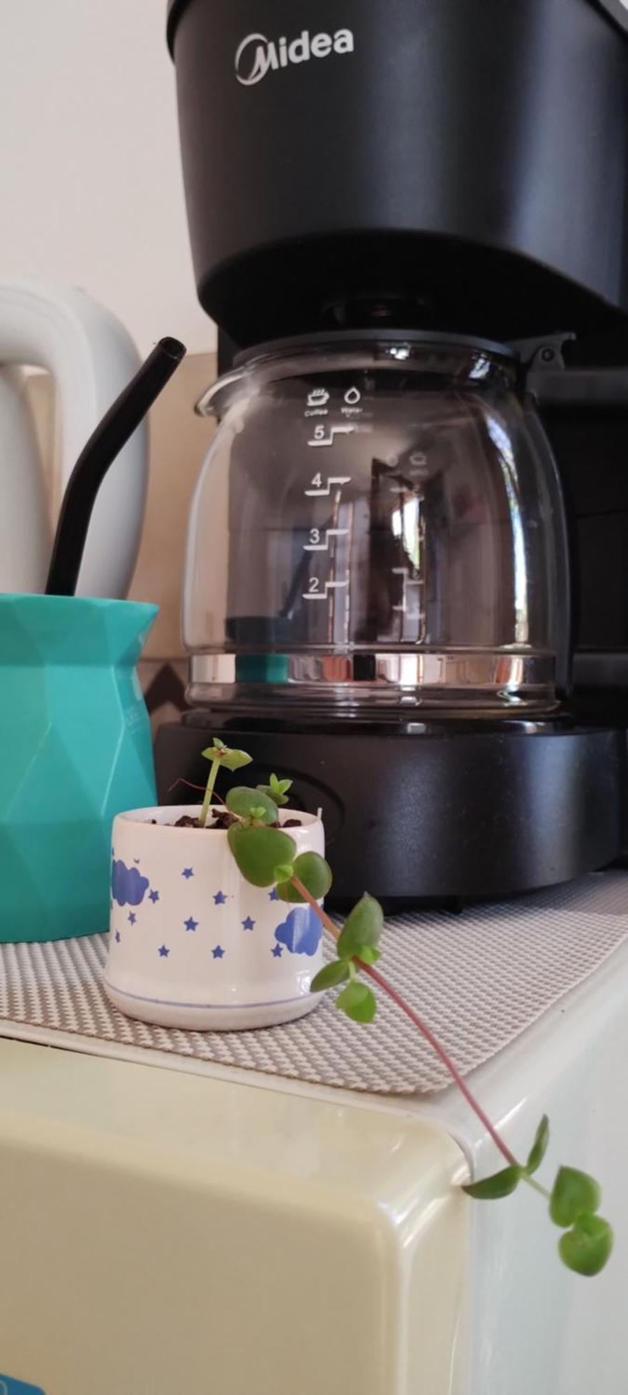 Casa Cronopio Apartman Ushuaia Kültér fotó